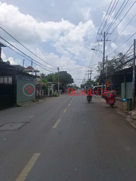 Land for sale, 2 frontages, 1000m2, Dinh Van Uoc, Hung Long, Binh Chanh, 7.5 billion Sales Listings