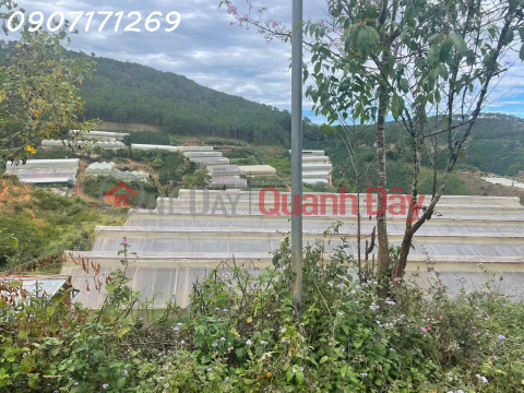 Land for sale in Manglin area, Ward 7, Da Lat City (now Langbiang Ward),area 210m2. _0