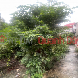Owner needs to sell 30 m2 Dong Mai - Ha Dong (new Yen Nghia ward),price only 2 billion, contact 0985865658 _0