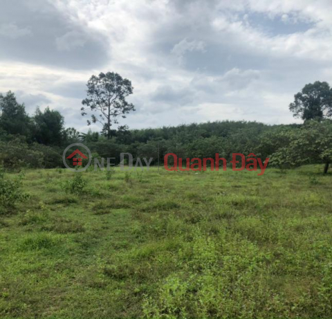 Urgent sale of land lot frontage of Street 18, Lac Thuan Quarter, Lac Tanh Town, Tanh Linh District, Binh Thuan Province _0