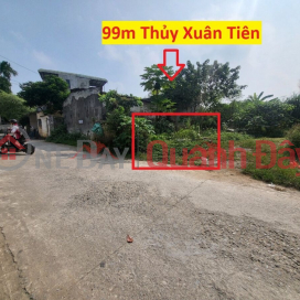 HÀNG HIẾM 99M TẠI THỦY XUÂN TIÊN-CHƯƠNG MỸ-HÀ NỘI HÀNG HIẾM 99M TẠI THỦY XUÂN TIÊN-CHƯƠNG MỸ-HÀ NỘI _0