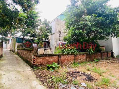 CHÍNH CHỦ BÁN LÔ ĐẤT 68,6M TẠI PHỤNG CHÂU-CHƯƠNG MỸ-HÀ NỘI _0
