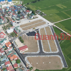 Land sale at auction in Duc Tu Dong Anh commune in 2023 _0