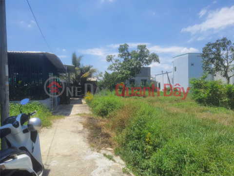 HOT DEAL! PRIME LAND FOR SALE - OWNER NEEDS TO SELL LAND in Hung Long Commune, Binh Chanh District, Ho Chi Minh City _0