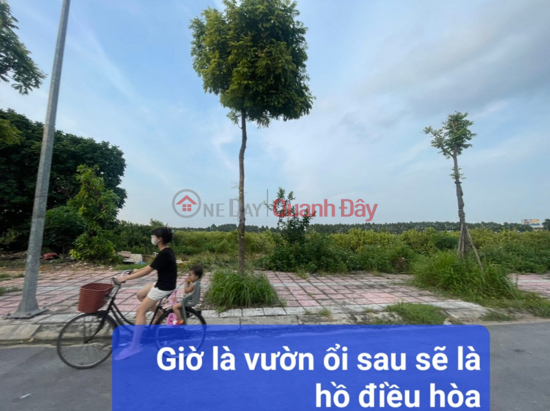  Làm ơn chọn, Nhà ở, Niêm yết bán | đ 2,9 tỷ