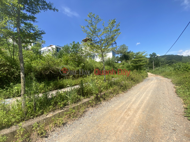 Selling 7000m2 In Tan Vinh, Luong Son District Canh Sunset Villas . Project Sales Listings