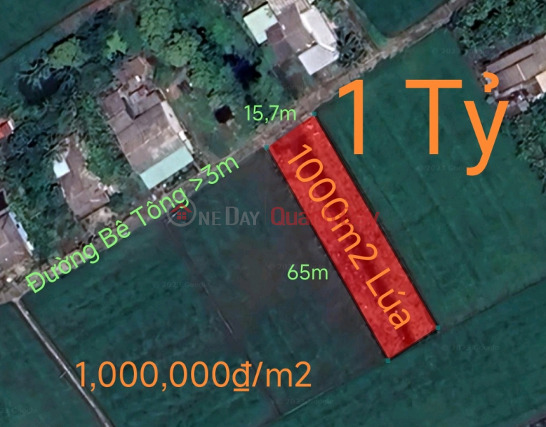 Urgent sale of rice land in Duc Tan commune for 1 billion Sales Listings