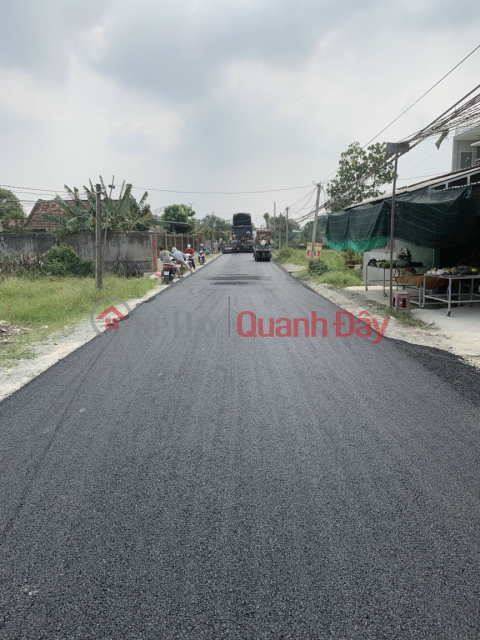 ĐẤT NGỘP GIÁ RẺ MỸ HẠNH BẮC, ĐỨC HOÀ LONG AN _0