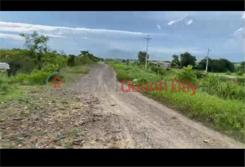 BEAUTIFUL LAND - GOOD PRICE For Quick Sale Land Front Lot In Binh An Commune Bac Binh, Binh Thuan _0