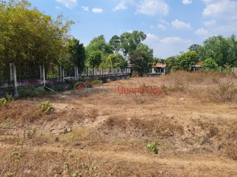 Urgent sale of agricultural land on Road DT 821 in Loc Hoa hamlet, Loc Giang commune, Duc Hoa district, Long An province Sales Listings
