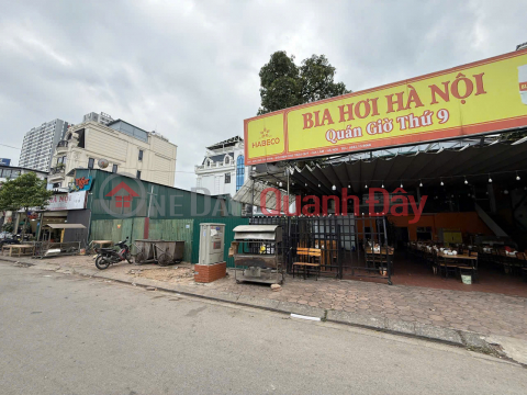 Owner selling 254m2 of auctioned land in Trau Quy - opposite the temporary market, with a beautifully planned flower garden. _0