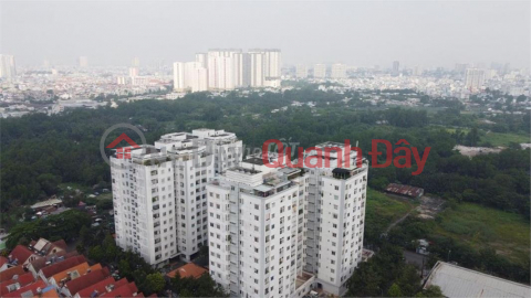 BEAUTIFUL APARTMENT - GOOD PRICE - Owner For Sale Apartment CC Him Lam Nam Saigon (Him Lam 6A) _0