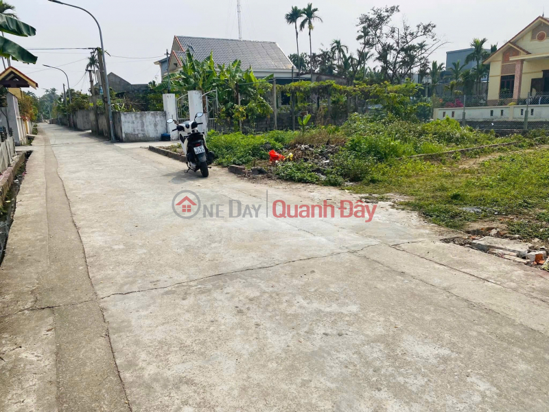 I am the owner and need to sell my land plot in Lai Ha, Tan Dan, An Lao, Hai Phong Sales Listings
