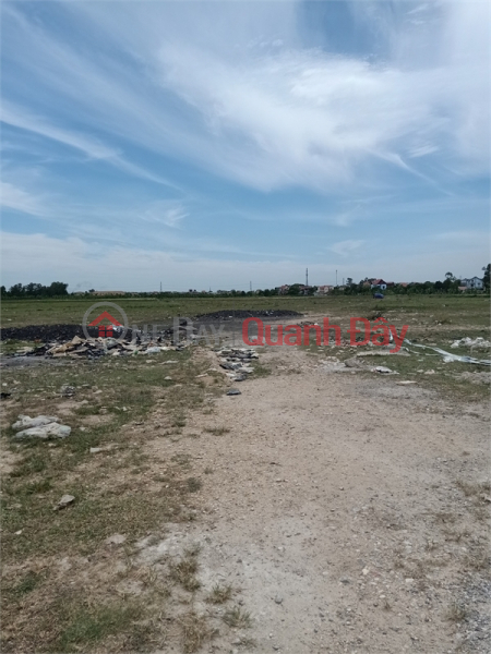 Selling 5ha land for warehouse and factory for 50 years in Doan Bai commune, Hiep Hoa district, Bac Giang Vietnam Sales | đ 850 Million