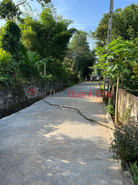 FOR SALE 3 Adjacent Plots In Can Loc District, Ha Tinh Province - Extremely Cheap Price _0