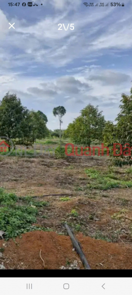 OWNER'S LAND - GOOD PRICE - Need to Sell Quickly Lot of Land in My Duc Dong Commune, Cai Be, Tien Giang Sales Listings