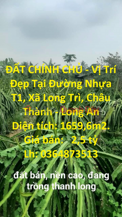 GENERAL LAND - Nice Location At Asphalt Road T1, Long Tri Commune, Chau Thanh - Long An _0