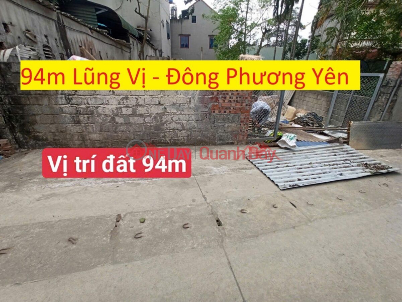 OWNER NEEDS TO SELL 94M2 LAND LOT IN DONG PHUONG YEN-CHUONG MY-HANOI Sales Listings