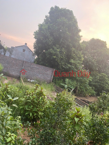 BÁN ĐẤT NGAY TRUNG TÂM KHÁNH HÀ -THƯỜNG TÍN- 300M²-GIÁ CHỈ 38TR/M2 Niêm yết bán