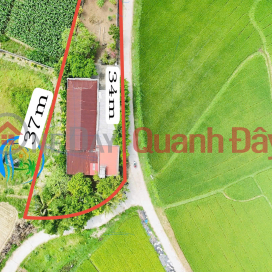 ĐẤT VƯỜN GÓC HIẾM TỊNH KHÊ – 550M² – THỔ CƯ SẴN – GIÁ TỐT CHỈ 1.8 TỶ _0
