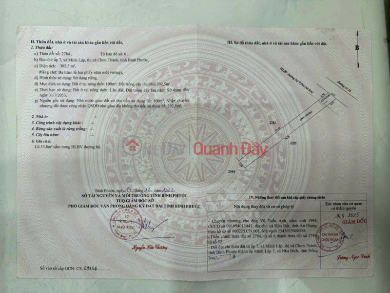 HOT OWN NOW a prime land lot in Chon Thanh town, Binh Phuoc province Sales Listings