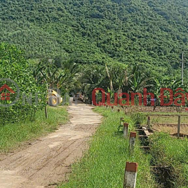 BÁN ĐẤT THỔ CƯ GIÁ RẺ TẠI DIÊN TÂN – DIÊN KHÁNH _0