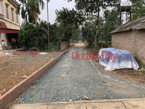 The owner needs to sell 02 plots of land in Phu Cat, Quoc Oai _0