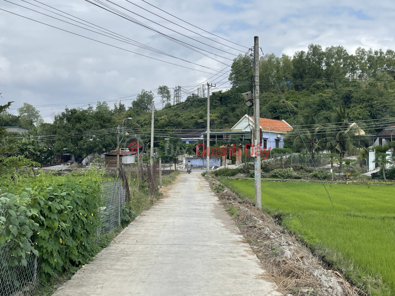 Property Search Vietnam | OneDay | Nhà ở Niêm yết bán Bán đất phường Ninh Giang Ninh Hoà Nam Vân Phong gần đường Núi Sầm giá 710 triệu