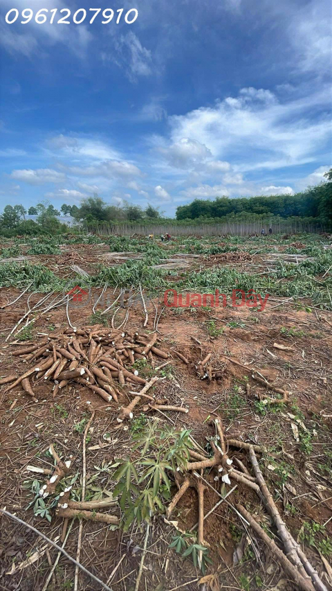 Land for sale in Phuoc Binh, Phuoc Thai commune, Dong Nai province, area 8194 m2, price 30 billion VND (negotiable). _0
