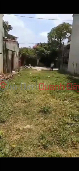 PRIME LOCATION - INVESTMENT OPPORTUNITY - LAND FOR SALE ON NATIONAL HIGHWAY 217B, THANH MY COMMUNE, THACH THANH DISTRICT, THANH HOA PROVINCE Sales Listings