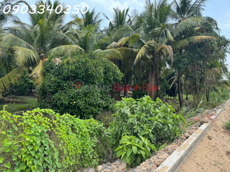 Property Search Vietnam | OneDay | Nhà ở Niêm yết bán | Bán đất siêu đẹp mặt tiền bờ sông Sài Gòn tại Đông Thạnh, DT 1500 m2, giá 58 tỷ
