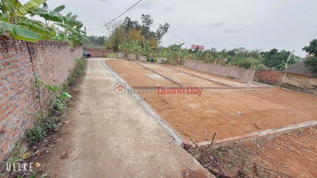 Property Search Vietnam | OneDay | Residential Sales Listings, GOOD PRICE AT SON DOAI TAN MINH SOC SON HANOI -- AREA 80 M FUN RESIDENTIAL LAND