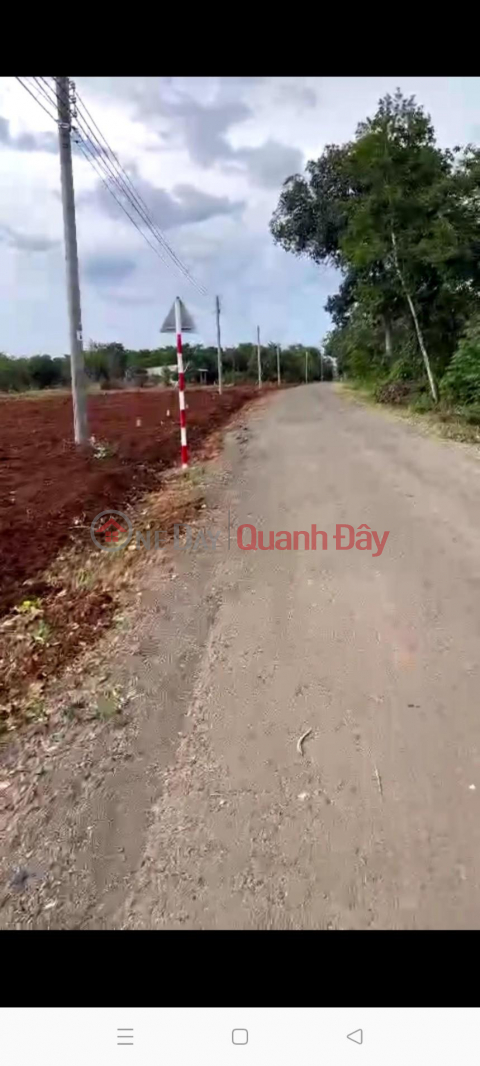 BEAUTIFUL LAND - GOOD PRICE – GENERAL Sold Fast Land Lot In Long Tan Commune, Phu Rieng District, Binh Phuoc Province _0