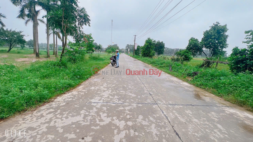 Property Search Vietnam | OneDay | Nhà ở | Niêm yết bán | ĐẤT THÁI ĐƯỜNG HIỀN NINH DT 116 M CẦN BÁN RA VÓI GIÁ THẤP NHẤT THỊ TRƯƠNG