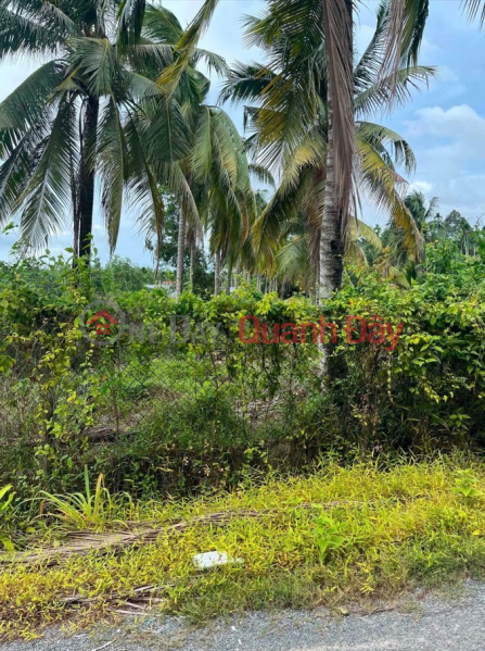 Owner selling land in Gia Loc, Tay Ninh. 10m wide, 95m long, accessible by car. Price: 1.2 billion VND (negotiable). Sales Listings