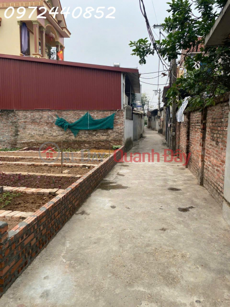 The owner urgently needs to sell a 171m2 plot of land in Phung Thuong, Phuc Tho, a densely populated area., Vietnam, Sales đ 39 Million