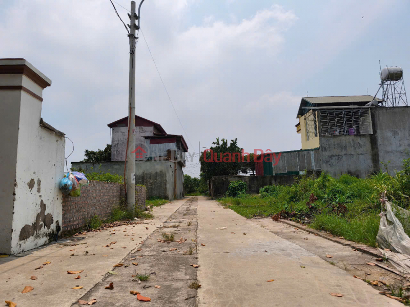 Land for sale in Ap Tre village, Quang Minh commune, Me Linh. Road is clear, cars can park, near Quang Minh Industrial Park. Vietnam Sales đ 3.95 Billion