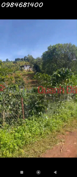 Cần tiền bán nhanh đất rẫy tại Tà Nung, p.Cam Ly, Đà Lạt,giá chỉ 160tr/sào có thương lượng, Việt Nam, Bán | đ 160 triệu