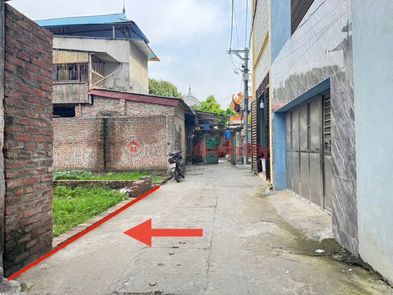 Property Search Vietnam | OneDay | Nhà ở Niêm yết bán, Bán Gấp 91m2 Đất Tổ 7, Thị Trấn Quang Minh, Mê Linh - Sát Cổng Làng Gia Trung, Ô tô Tránh