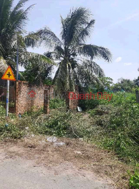 Bán đất thổ cư ODT 100 M2 (GP33Z-931753806)_0