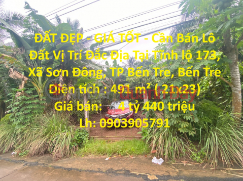 BEAUTIFUL LAND - GOOD PRICE - Land Lot For Sale Prime Location At Tinh Highway 173, Son Dong Commune, Ben Tre City, Ben Tre _0