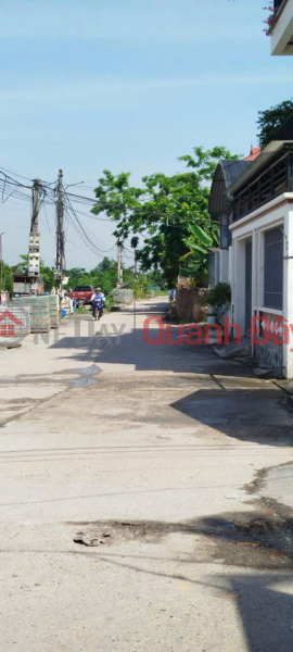 Land for sale in Nguyen Khe - Dong Anh 100m 6.3 billion Sales Listings