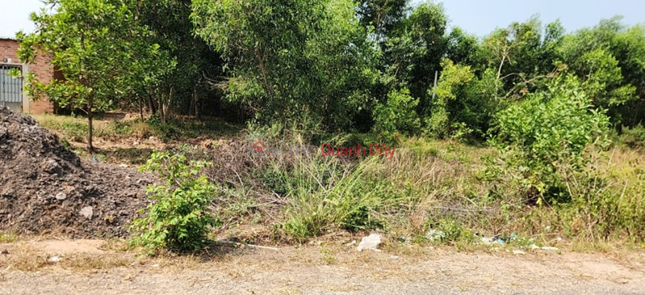 Property Search Vietnam | OneDay | Residential, Sales Listings, PROFITABLE INVESTMENT OPPORTUNITY - PRIME LOCATION LAND PLOT WITH HIGH POTENTIAL - Near Cay Cay Crossroads - Tan Chau