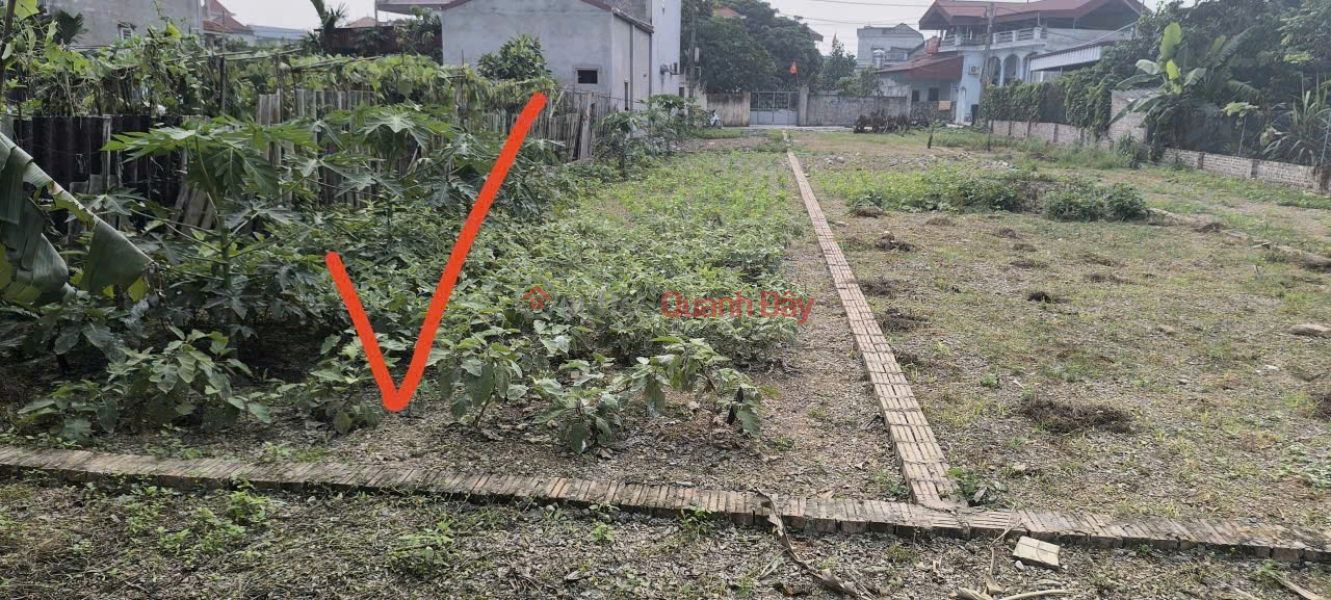 Selling a 129.4m2 (5.22m x 24.79m) plot of land in Phuc Son, My Duc, Hanoi. | Vietnam, Sales | đ 2.95 Billion