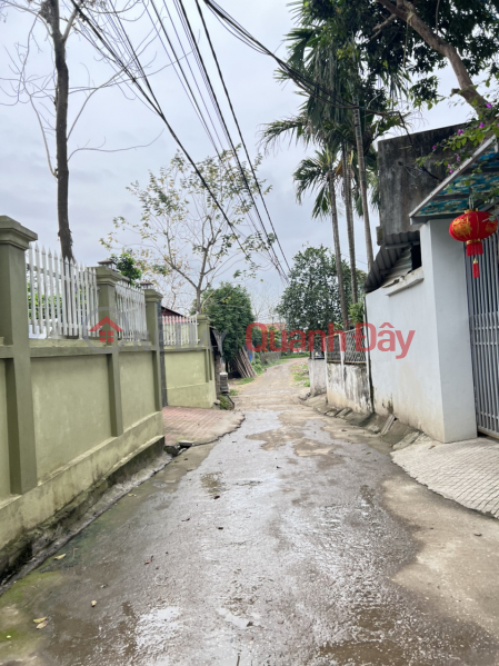 262m2 in Long Chau-Phung Chau, the price is as cheap as a parking lot, and the lot is divided into separate plots comfortably. Vietnam, Sales, ₫ 4.2 Billion