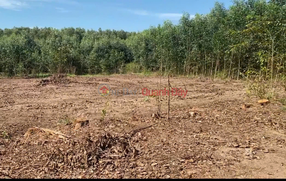 Property Search Vietnam | OneDay | Residential Sales Listings | Owner Sells 16ha of Land with 4 Frontages in Tan Phuc Commune, Ham Tan District, Binh Thuan. Price Only 230k\\/m2