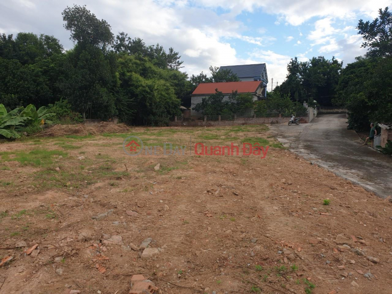 PRIME LAND - GOOD PRICE - For Quick Sale Land Lot Prime Location In Viet Tri City, Phu Tho Sales Listings