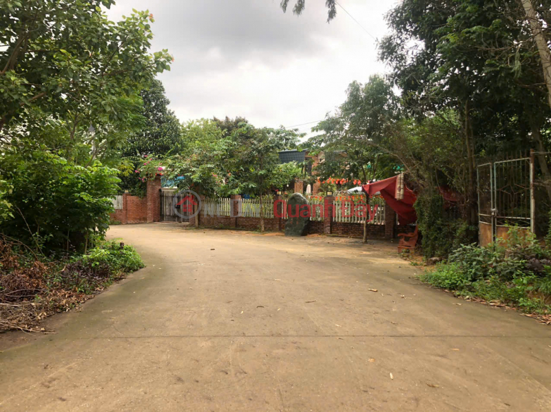 RARE! OWN A BEAUTIFUL LOT OF LAND - GOOD PRICE at Minh Phu Forest Farm, Soc Son, Hanoi | Vietnam, Sales đ 7.88 Billion