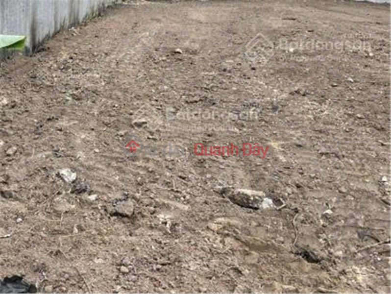 Property Search Vietnam | OneDay | Nhà ở Niêm yết cho thuê | CẦN CHO THUÊ LÔ ĐẤT nông nghiệp để trồng trọt, chăn nuôi TẠI Xã Phạm Văn Hai, Bình Chánh, HCM