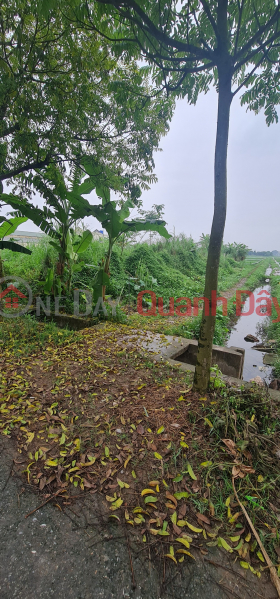 LAND FOR SALE, AREA 120M2, FRONTAGE 5M, CAR ACCESS, GROUP 6, HOANG DIEU WARD, THAI BINH CITY, | Vietnam, Sales | đ 3.6 Billion